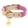 Collares & correasDog - cat collar pet collar - engraved with name - ID tags - for small animals