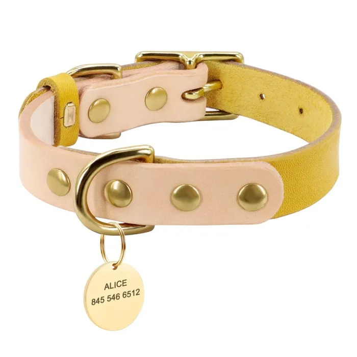Lederhalsband - für Hunde / Katzen - personalisierter Kosename - Telefonnummer - ID-Tag