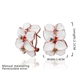 Beautiful multi coloured earrings for women  - with zircon - gift
