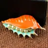BrochesRed sea mussel with pearls - elegant brooch