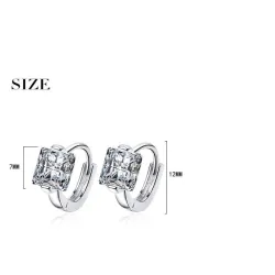 Luxury crystal earrings for women - sterling silver - gift