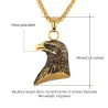 CollarColgante en forma de águila con cadena - unisex - acero inoxidable
