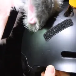 Partes de motosDecoración de casco de moto - orejas de gato de peluche