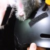 Ozdoba na kask motocyklowy - pluszowe kocie uszyMotocykl