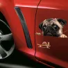 PegatinasAdhesivo para ventana de coche - vinilo - resistente al agua - perro con caracol