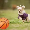 Mini basketball - oppustelig - med inflator - 8 stk