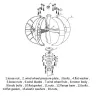 Vindturbingenerator - med kontroller - 5 blader - 6000W - 24V