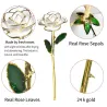 Rose dyppet i 24k gull - med stativ - bursdag / Valentinsdag / bryllupsgave