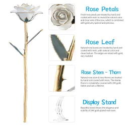 Rose dyppet i 24k gull - med stativ - bursdag / Valentinsdag / bryllupsgave