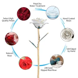 Rose dyppet i 24k gull - med stativ - bursdag / Valentinsdag / bryllupsgave