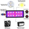 Plantedyrkningslampe - fuldt spektrum - hydroponisk - LED COB-lys - 1220W / 2400W / 3600W