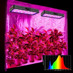 Plantodlingslampa - fullt spektrum - hydroponisk - LED COB-ljus - 1220W / 2400W / 3600W
