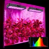 Plantedyrkningslampe - fuldt spektrum - hydroponisk - LED COB-lys - 1220W / 2400W / 3600W