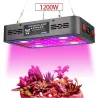Pflanzenwachstumslampe - Vollspektrum - Hydrokultur - LED-COB-Licht - 1220 W / 2400 W / 3600 W