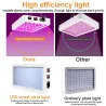 Plantodlingslampa - fullt spektrum - LED-ljus - vattentät - 5000W / 8000W