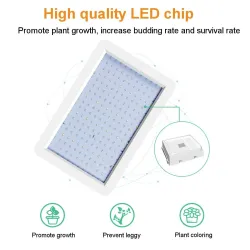 Plantodlingslampa - fullt spektrum - LED-ljus - vattentät - 5000W / 8000W