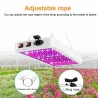 Plantodlingslampa - fullt spektrum - LED-ljus - vattentät - 5000W / 8000W