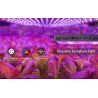 Luces de cultivoLámpara de cultivo de plantas - panel de luz LED - espectro completo - hidropónico
