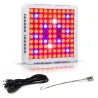 Plantedyrkningslampe - LED hydroponisk panel - 300W / 600W