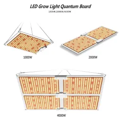 LED-Lampe für Pflanzenwachstum – Quantum Board – Vollspektrum – hydroponisch – wasserdicht – 1000 W