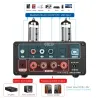 AIYIMA T9 - HiFi - Bluetooth 5.0 - forstærker - USB - 100W