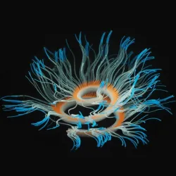 Flexibel siliconen koraal / anemoon - glowing in dark - aquariumdecoratieAquarium