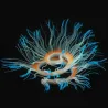 Silicone souple corail / anémone - brillant dans le noir - décoration aquarium