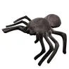 Peluche en forme d'araignée/insecte - super douce