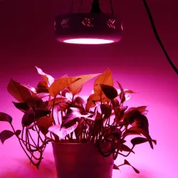 135W - LED-vekstlys - 3500 lumen fullt spekter - ufo - rund