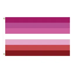 Hængende banner - flag - LGBT / transseksuel / panseksuel / fremskridt / PRIDE / regnbue