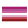 Bannière suspendue - drapeau - LGBT / transgenre / pansexuel / progrès / PRIDE / arc-en-ciel