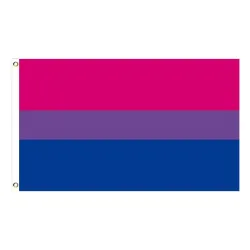 Hængende banner - flag - LGBT / transseksuel / panseksuel / fremskridt / PRIDE / regnbue