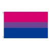 Bannière suspendue - drapeau - LGBT / transgenre / pansexuel / progrès / PRIDE / arc-en-ciel