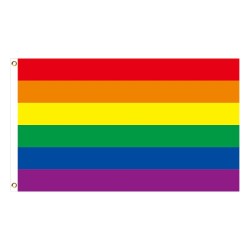 Pancarta colgante - bandera - LGBT / transgénero / pansexual / progreso / ORGULLO / arco iris