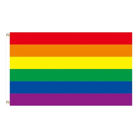 Hængende banner - flag - LGBT / transseksuel / panseksuel / fremskridt / PRIDE / regnbue