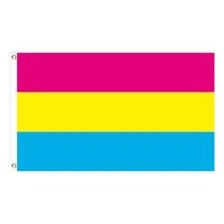 Hängande banderoll - flagga - HBT / transpersoner / pansexuell / framsteg / PRIDE / regnbåge