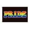 Hængende banner - flag - LGBT / transseksuel / panseksuel / fremskridt / PRIDE / regnbue