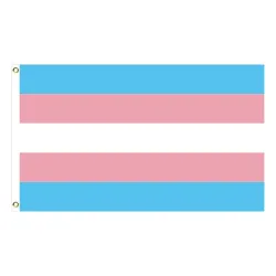 Bannière suspendue - drapeau - LGBT / transgenre / pansexuel / progrès / PRIDE / arc-en-ciel