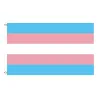 Hängande banderoll - flagga - HBT / transpersoner / pansexuell / framsteg / PRIDE / regnbåge