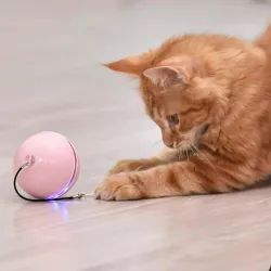 Gioco interattivo per cani/gatti - pallina con luce/suono/piuma - USB
