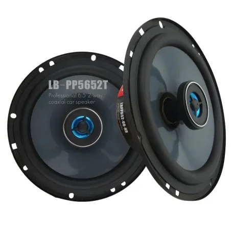 Bil lydhøjttalere - 6 tommer - 2-vejs - high-end koaksialt horn - 100W