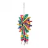 Wooden hanging toy for bird cage - Parrots - colorfulBirds