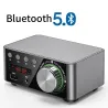 AudioMini amplificador digital - clase D - HiFi - Bluetooth 5.0 - Tpa3116 - 50W*2 - USB - AUX - IN