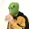 Masque intégral drôle - tête de poisson vert - Halloween - festivals