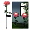 Chrysant bloemvormige lamp - tuinlamp - solar - LED - waterdichtSolar verlichting
