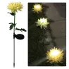Iluminación solarLámpara en forma de flor de crisantemo - luz de jardín - solar - LED - impermeable