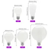 Ampoule LED Edison - verre laiteux - 5W - AC110V 220V - G80 - G95 - G125 - A60 - ST64