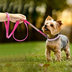 Trela de couro - com strass - para cães/gatos