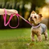 Lederleine - mit Strass - für Hunde / Katzen