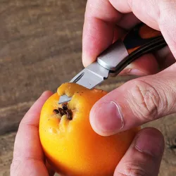 Mini couteau de poche pliant - avec porte-clés - acier inoxydable